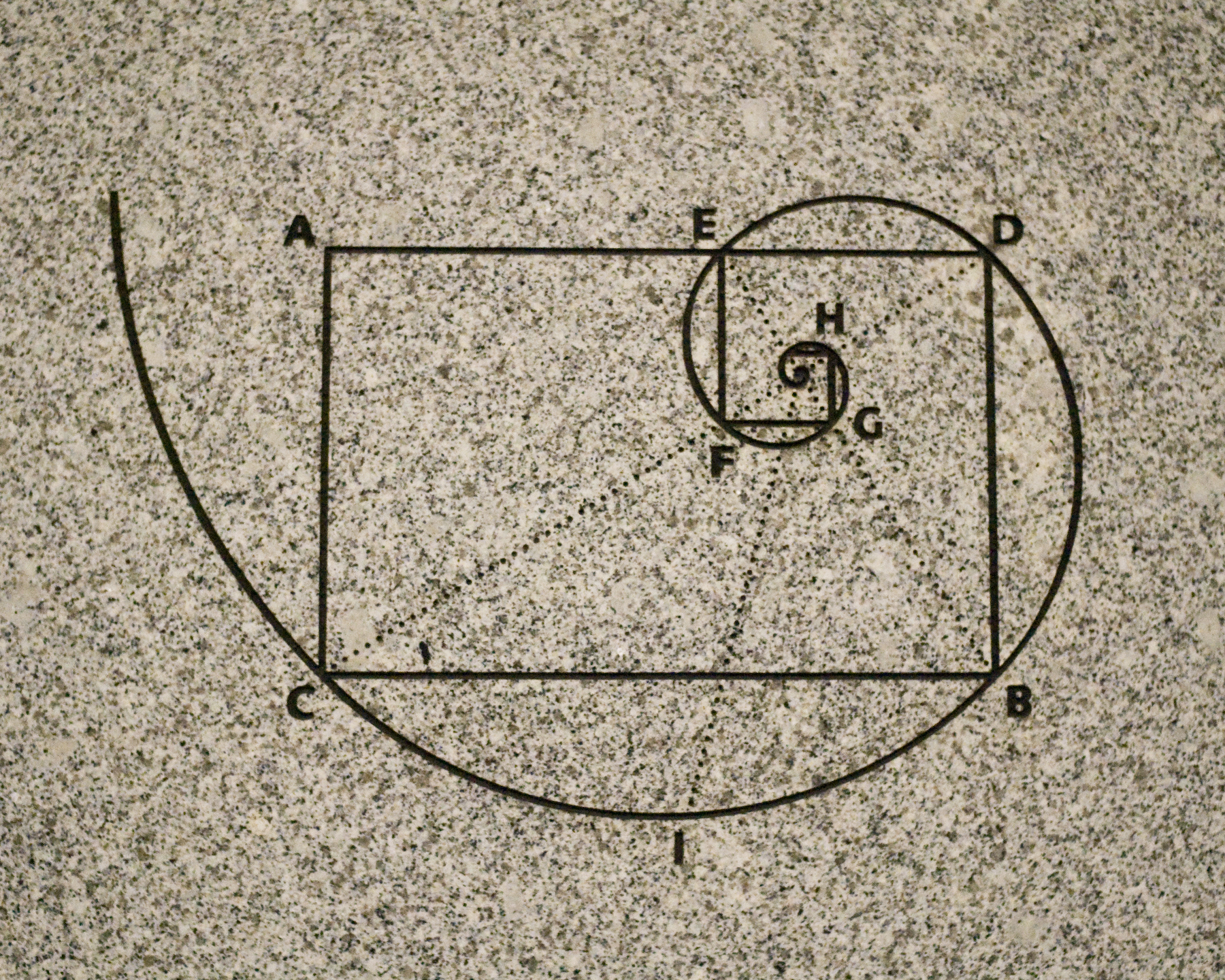 The fibonacci golden spiral. Image credit Benjamin Chan.